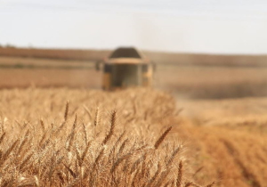 Спеціальна акція для аграрних компаній