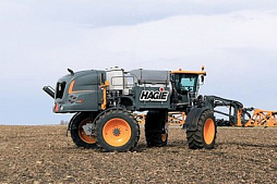 HAGIE 